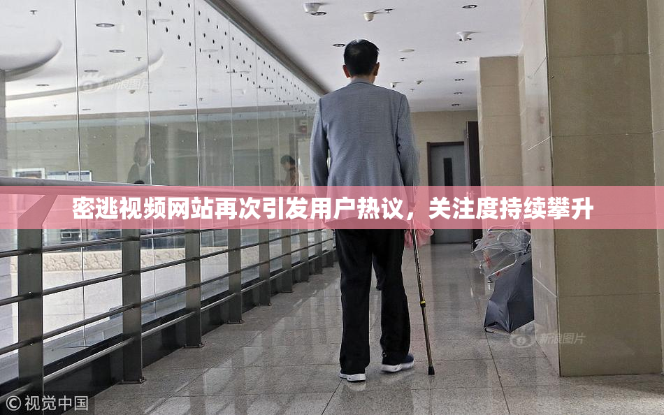 密逃视频网站再次引发用户热议，关注度持续攀升