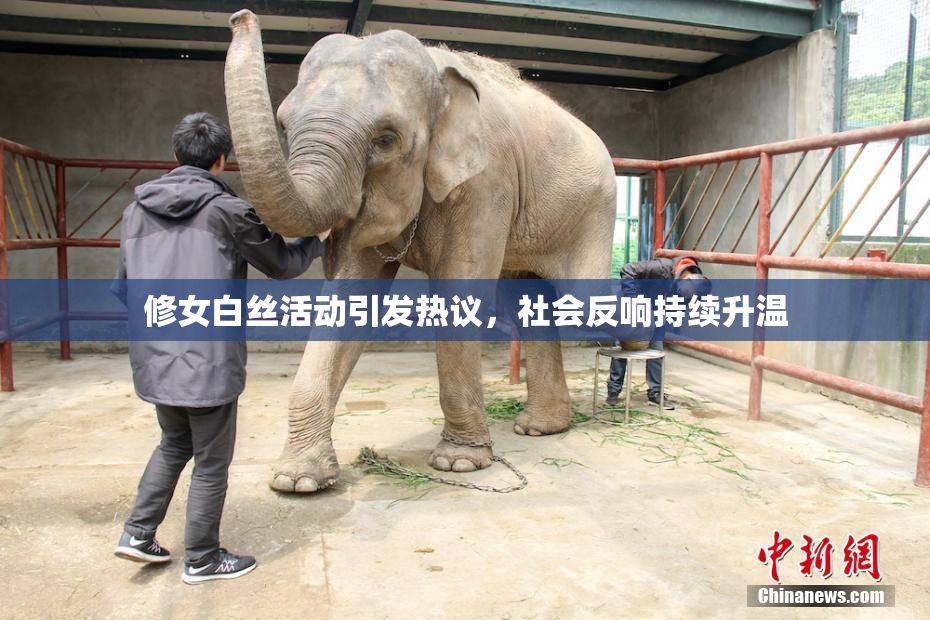 修女白丝活动引发热议，社会反响持续升温