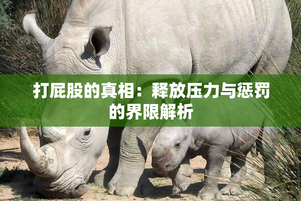 打屁股的真相：释放压力与惩罚的界限解析