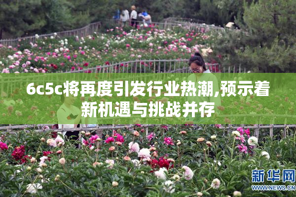 6c5c将再度引发行业热潮,预示着新机遇与挑战并存