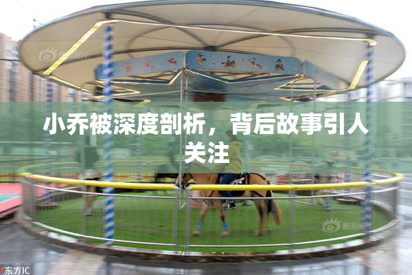 小乔被深度剖析，背后故事引人关注