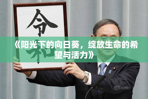 《阳光下的向日葵，绽放生命的希望与活力》