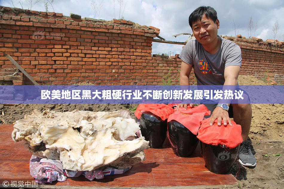 欧美地区黑大粗硬行业不断创新发展引发热议