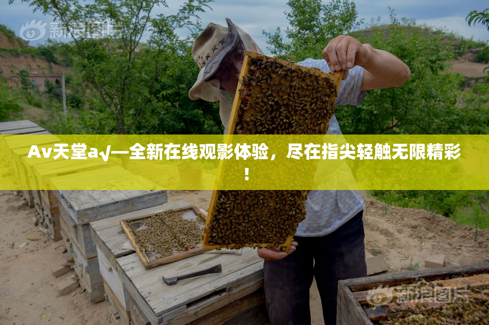 Av天堂a√—全新在线观影体验，尽在指尖轻触无限精彩！