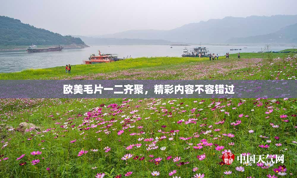 欧美毛片一二齐聚，精彩内容不容错过