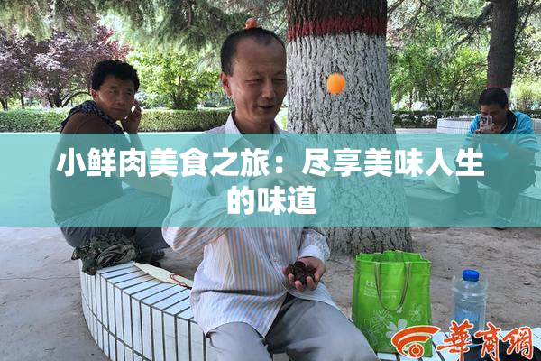 小鲜肉美食之旅：尽享美味人生的味道