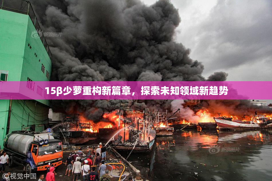 15β少萝重构新篇章，探索未知领域新趋势