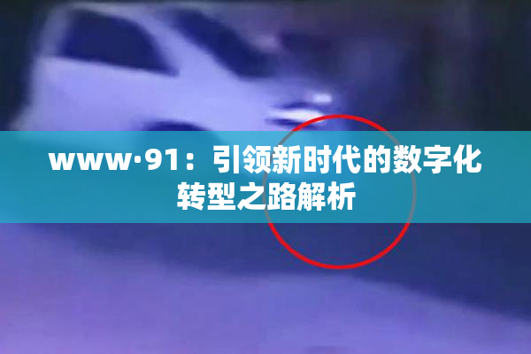 www·91：引领新时代的数字化转型之路解析