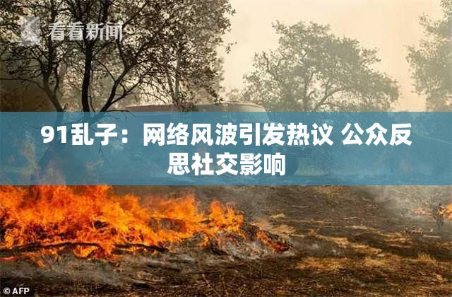 91乱子：网络风波引发热议 公众反思社交影响