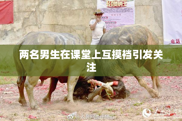 两名男生在课堂上互摸裆引发关注