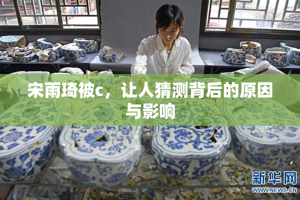 宋雨琦被c，让人猜测背后的原因与影响