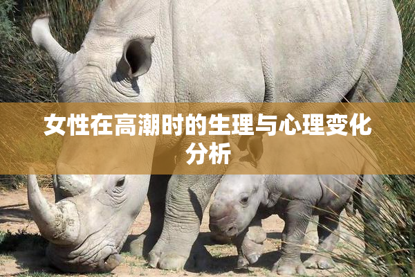 女性在高潮时的生理与心理变化分析