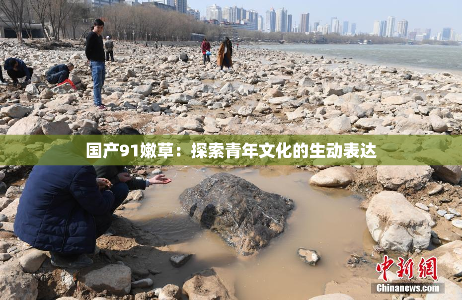 国产91嫩草：探索青年文化的生动表达