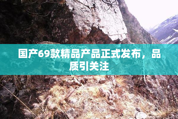 国产69款精品产品正式发布，品质引关注