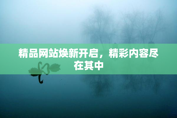 精品网站焕新开启，精彩内容尽在其中