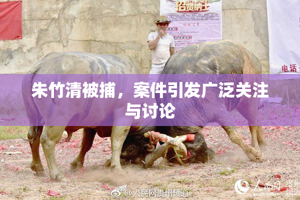 朱竹清被捕，案件引发广泛关注与讨论