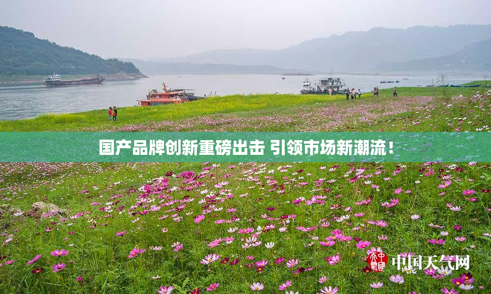 国产品牌创新重磅出击 引领市场新潮流！