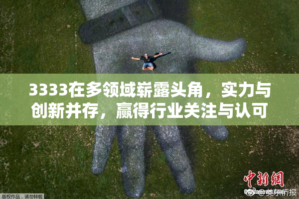3333在多领域崭露头角，实力与创新并存，赢得行业关注与认可