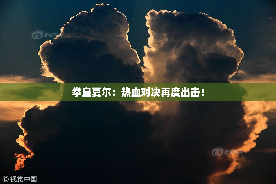 拳皇夏尔：热血对决再度出击！
