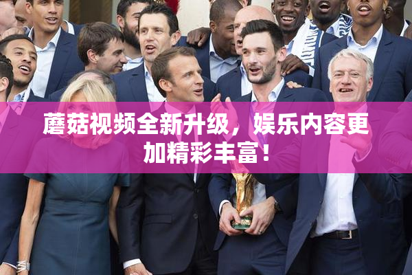 蘑菇视频全新升级，娱乐内容更加精彩丰富！
