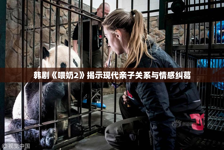 韩剧《喂奶2》揭示现代亲子关系与情感纠葛