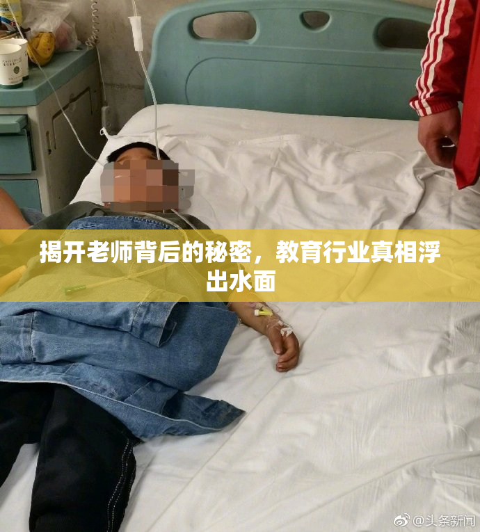揭开老师背后的秘密，教育行业真相浮出水面