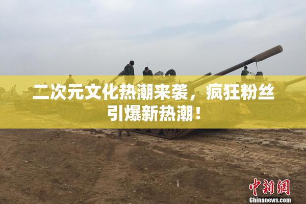 二次元文化热潮来袭，疯狂粉丝引爆新热潮！