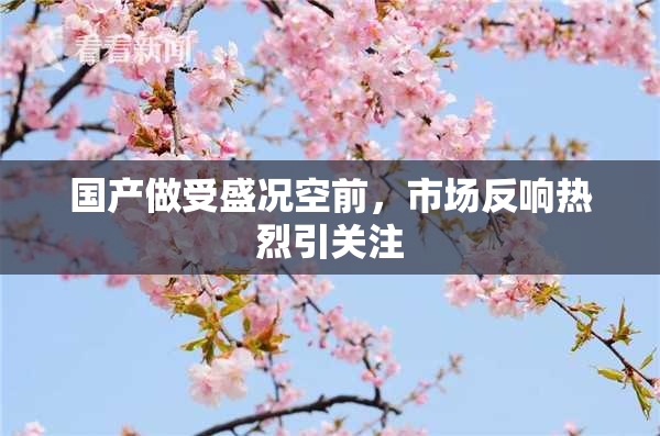 国产做受盛况空前，市场反响热烈引关注