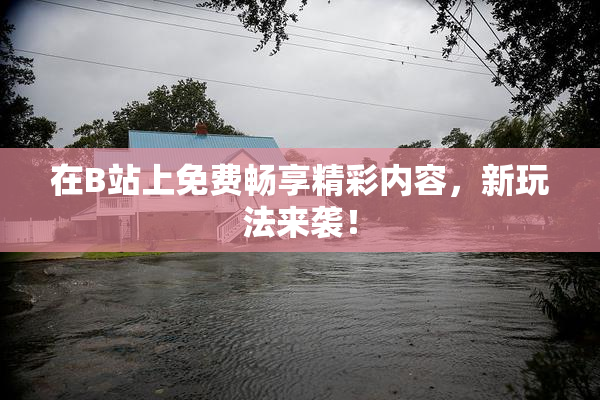 在B站上免费畅享精彩内容，新玩法来袭！