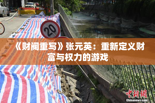 《财阀重写》张元英：重新定义财富与权力的游戏