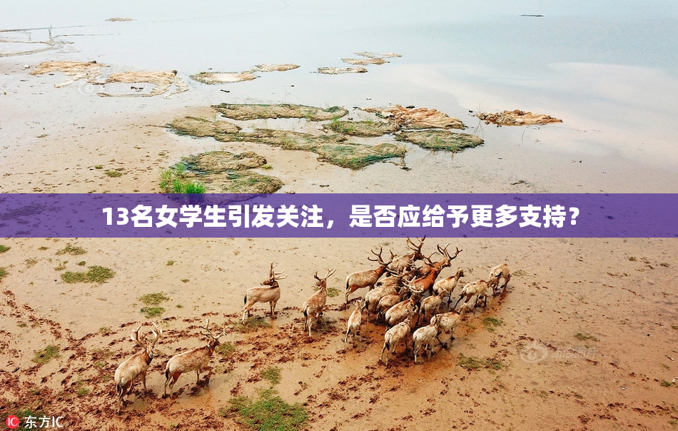13名女学生引发关注，是否应给予更多支持？