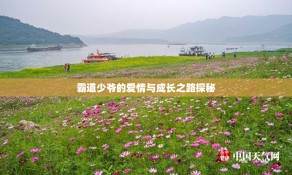 霸道少爷的爱情与成长之路探秘