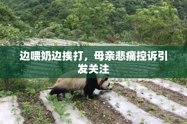 边喂奶边挨打，母亲悲痛控诉引发关注