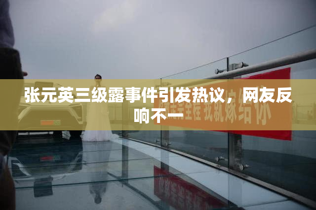 张元英三级露事件引发热议，网友反响不一