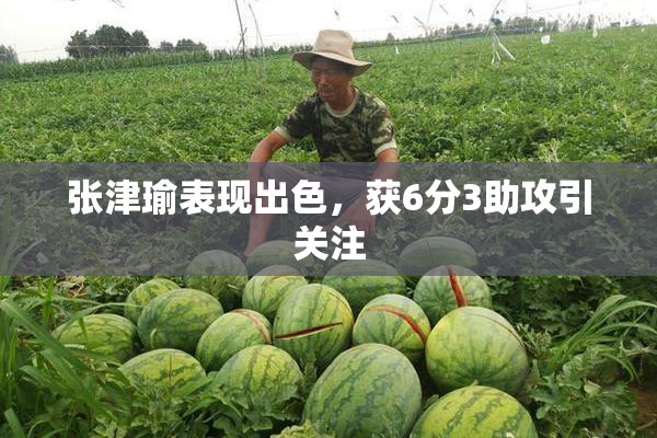 张津瑜表现出色，获6分3助攻引关注