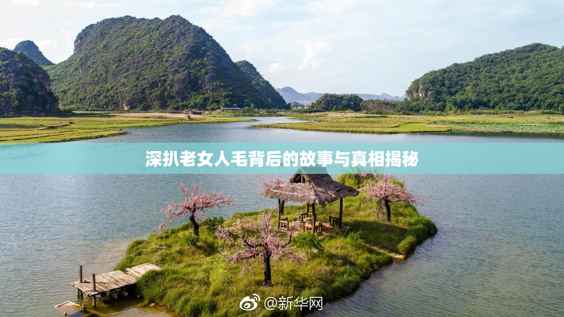 深扒老女人毛背后的故事与真相揭秘