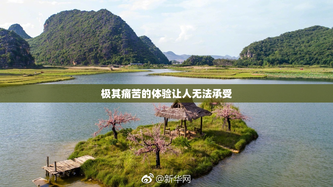 极其痛苦的体验让人无法承受
