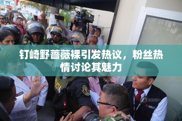 钉崎野蔷薇裸引发热议，粉丝热情讨论其魅力