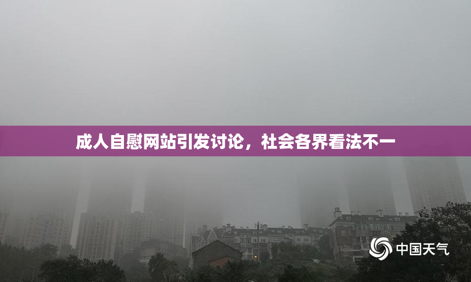 成人自慰网站引发讨论，社会各界看法不一