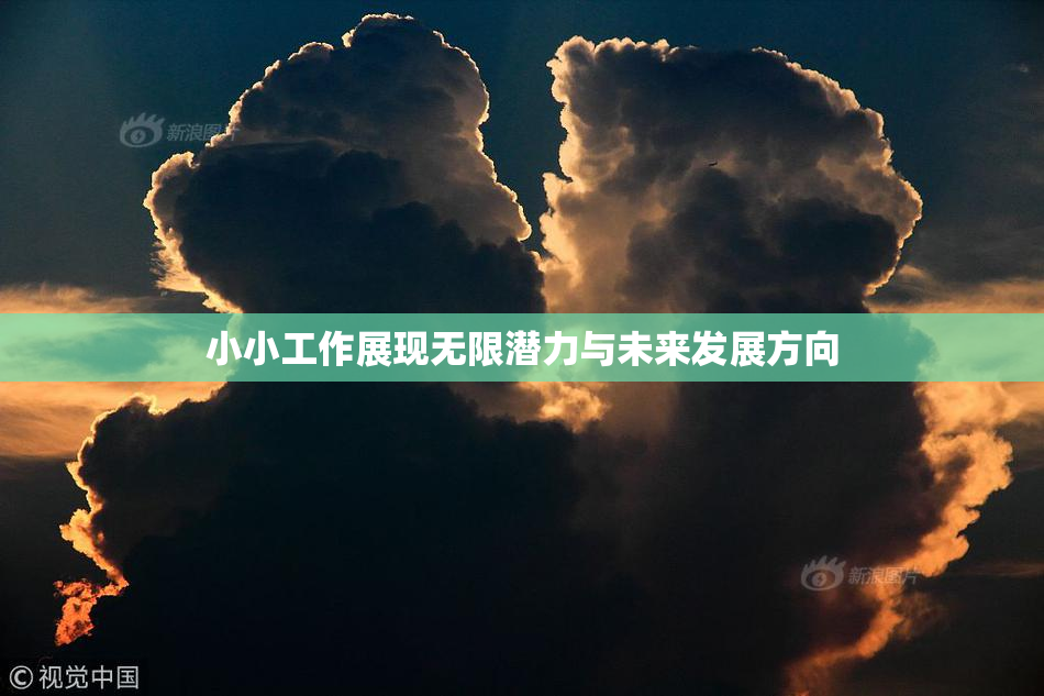 小小工作展现无限潜力与未来发展方向