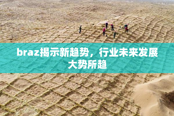 braz揭示新趋势，行业未来发展大势所趋