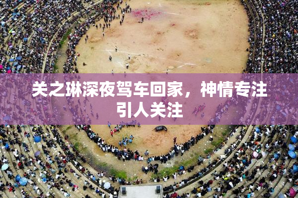 关之琳深夜驾车回家，神情专注引人关注