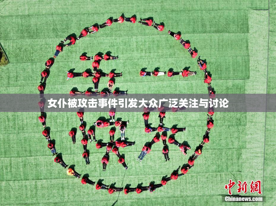 女仆被攻击事件引发大众广泛关注与讨论