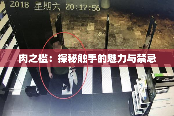 肉之槛：探秘触手的魅力与禁忌