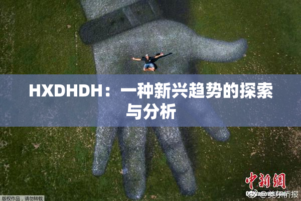 HXDHDH：一种新兴趋势的探索与分析