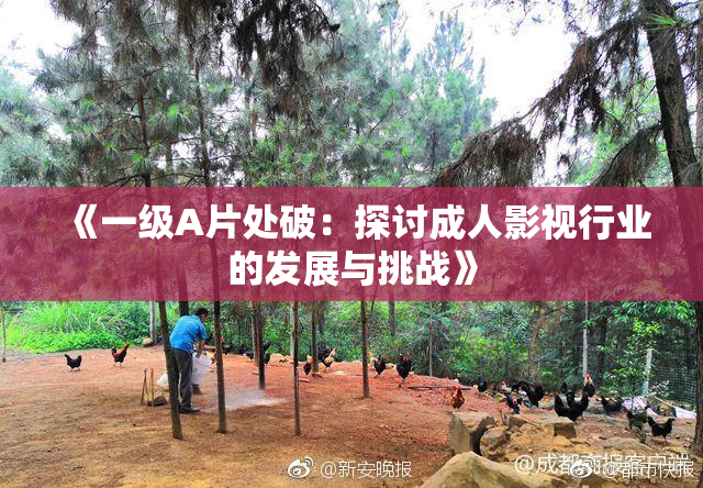 《一级A片处破：探讨成人影视行业的发展与挑战》