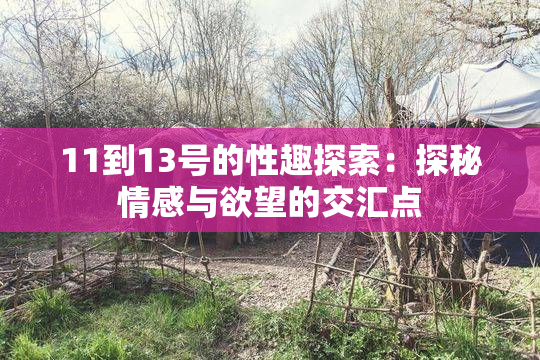 11到13号的性趣探索：探秘情感与欲望的交汇点