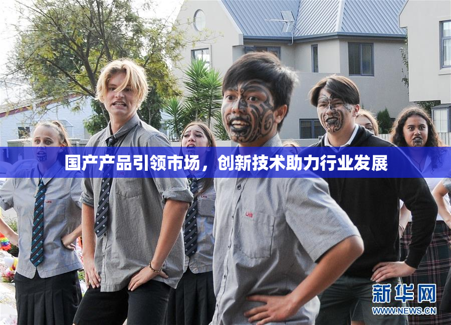 国产产品引领市场，创新技术助力行业发展