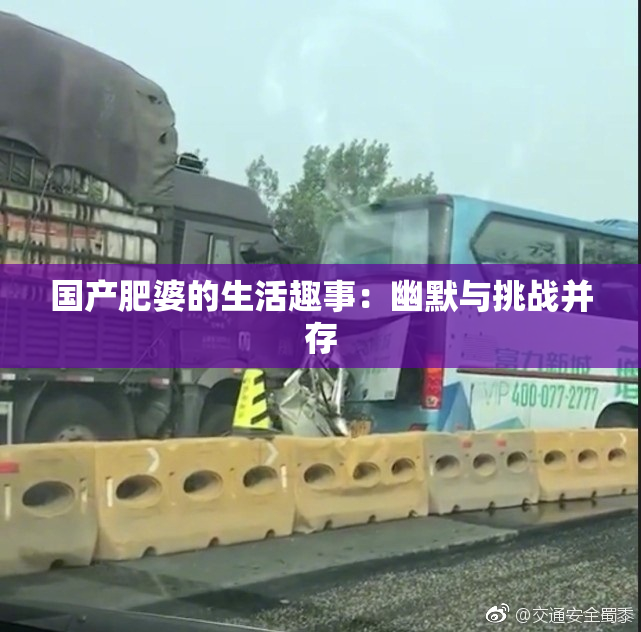 国产肥婆的生活趣事：幽默与挑战并存