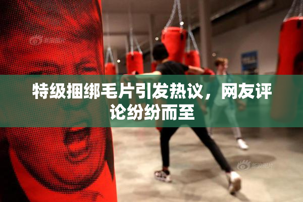 特级捆绑毛片引发热议，网友评论纷纷而至